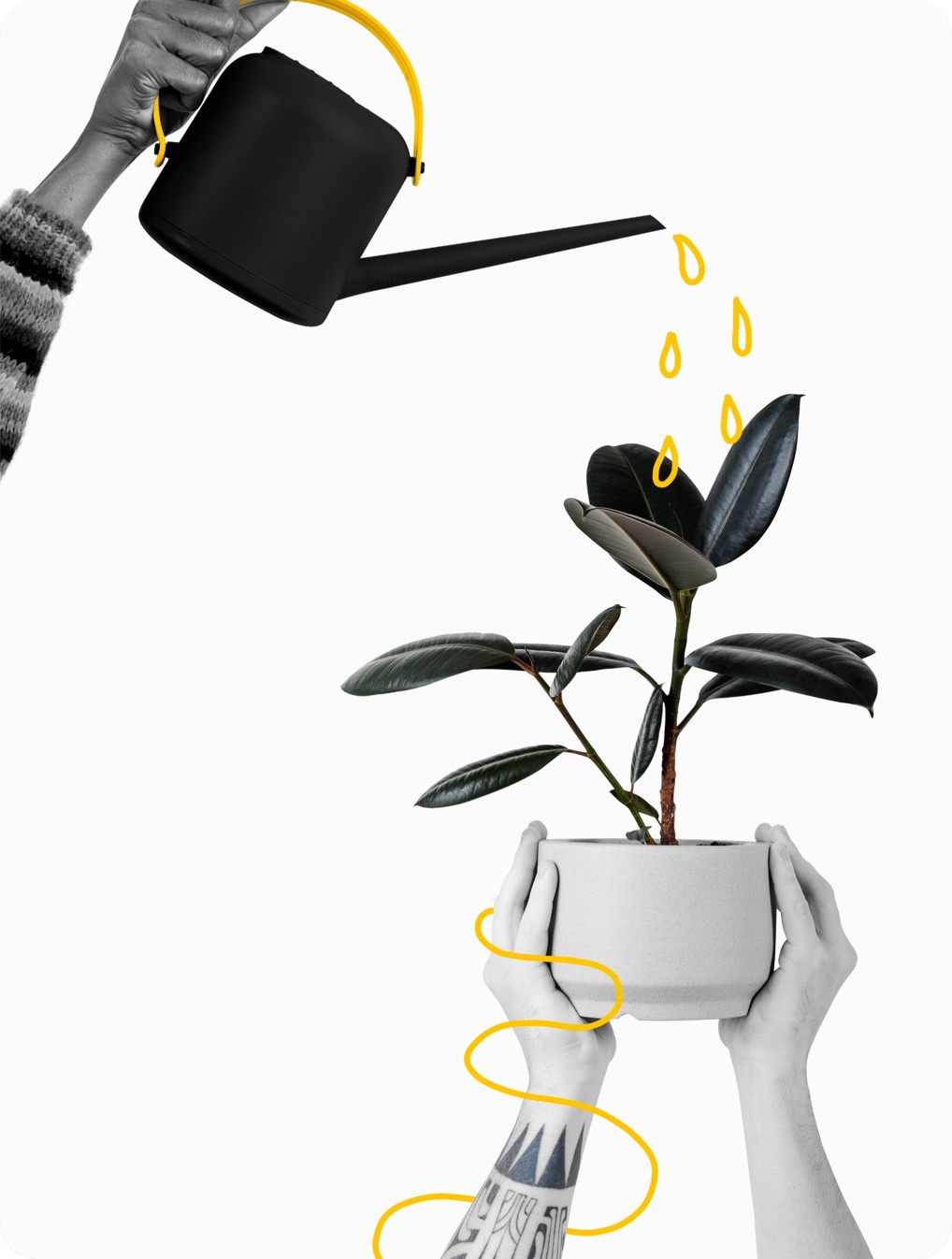 L’architecture d’entreprise durable – green IT – Pour les entreprises L'architecture d'entreprise durable - green IT - Pour les entreprises