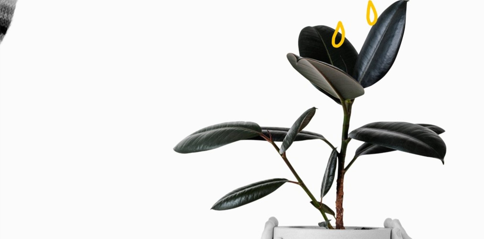 L’architecture d’entreprise durable – green IT – Pour les entreprises L'architecture d'entreprise durable - green IT - Pour les entreprises